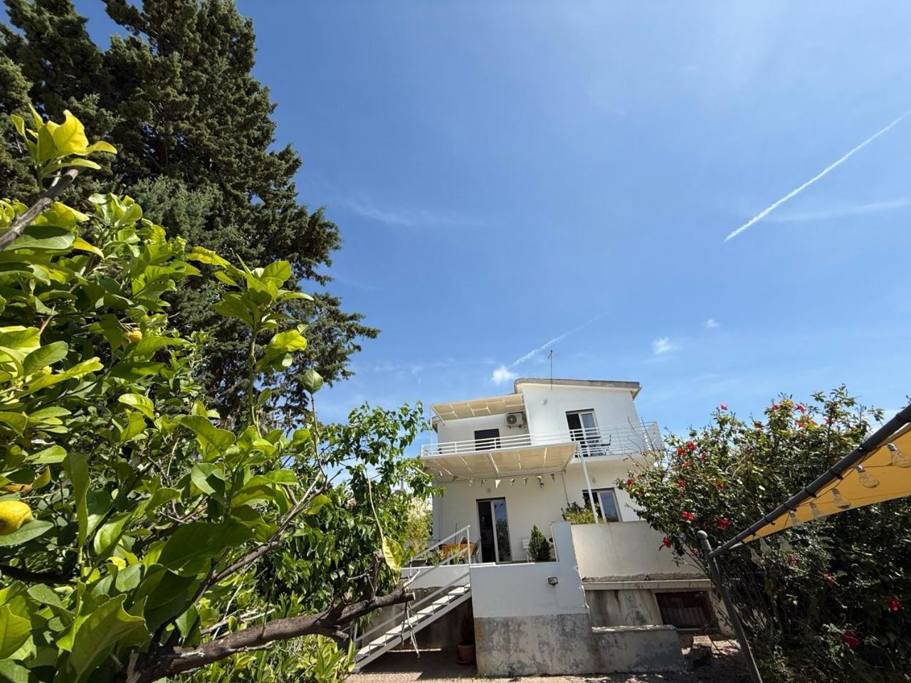 Terra Di Mare ξενώνας Αγκριτζέντο Εξωτερικό φωτογραφία